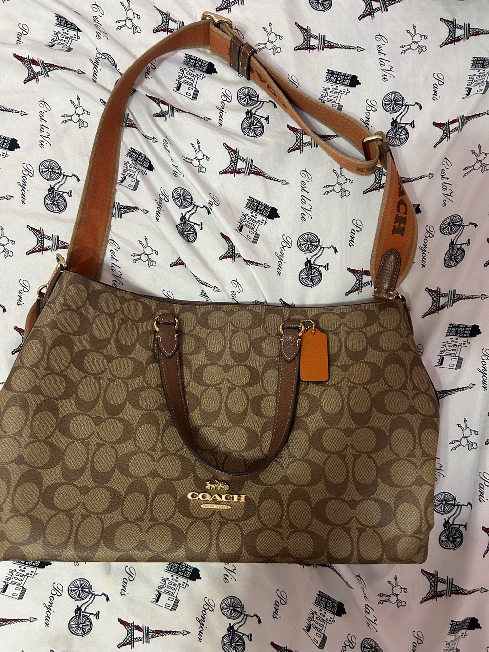Coach Logan Carryall in Signature Canvas